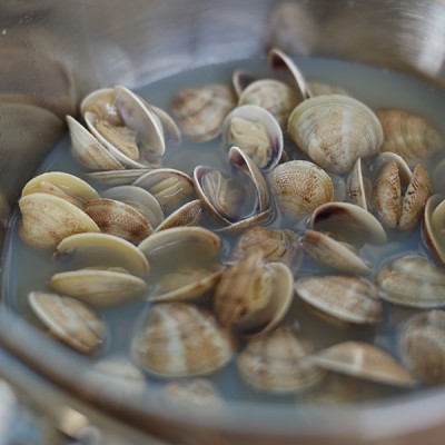Clams with Shell - 270gr Vongole Bernardi - 2